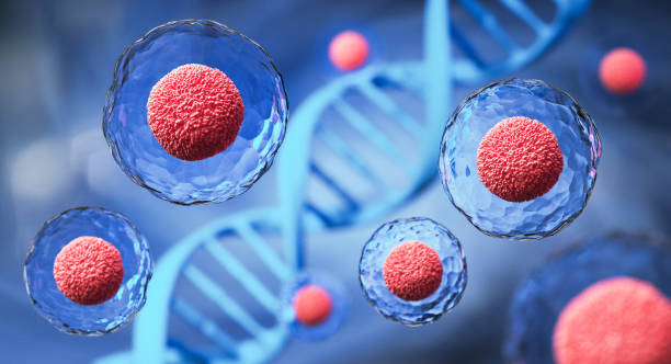 Stem Cell Transplants Show Promise in Reversing Diabetes